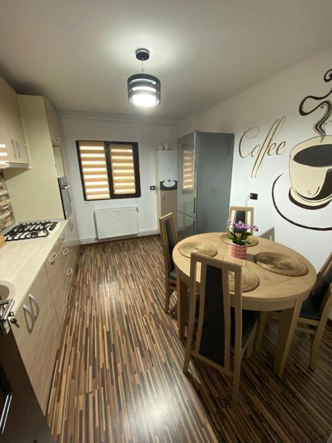 Apartament Exclusive Targu Ocna Extérieur photo