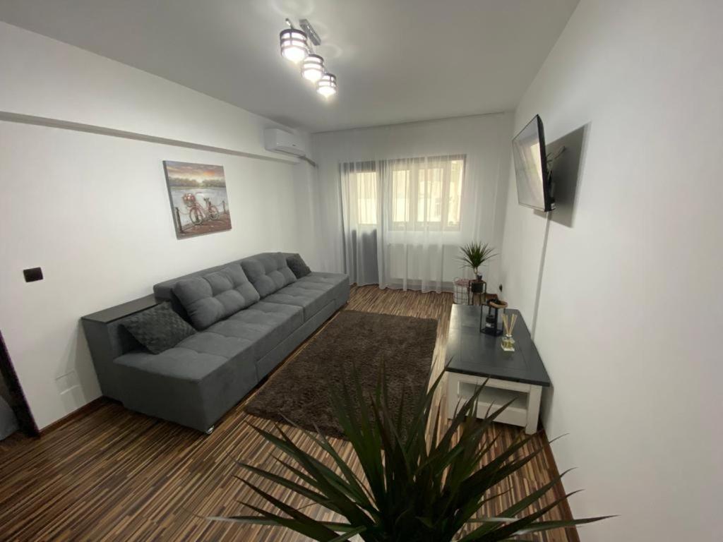 Apartament Exclusive Targu Ocna Extérieur photo